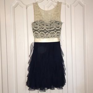 Lace and tulle Dress (NWT)